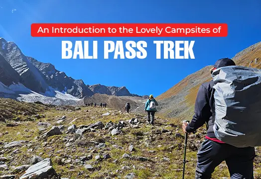 An Introduction to the Lovely Campsites of Bali Pass Trek